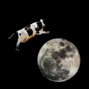 It is not impossible for a cow to jump over the moon but it is impractical!
